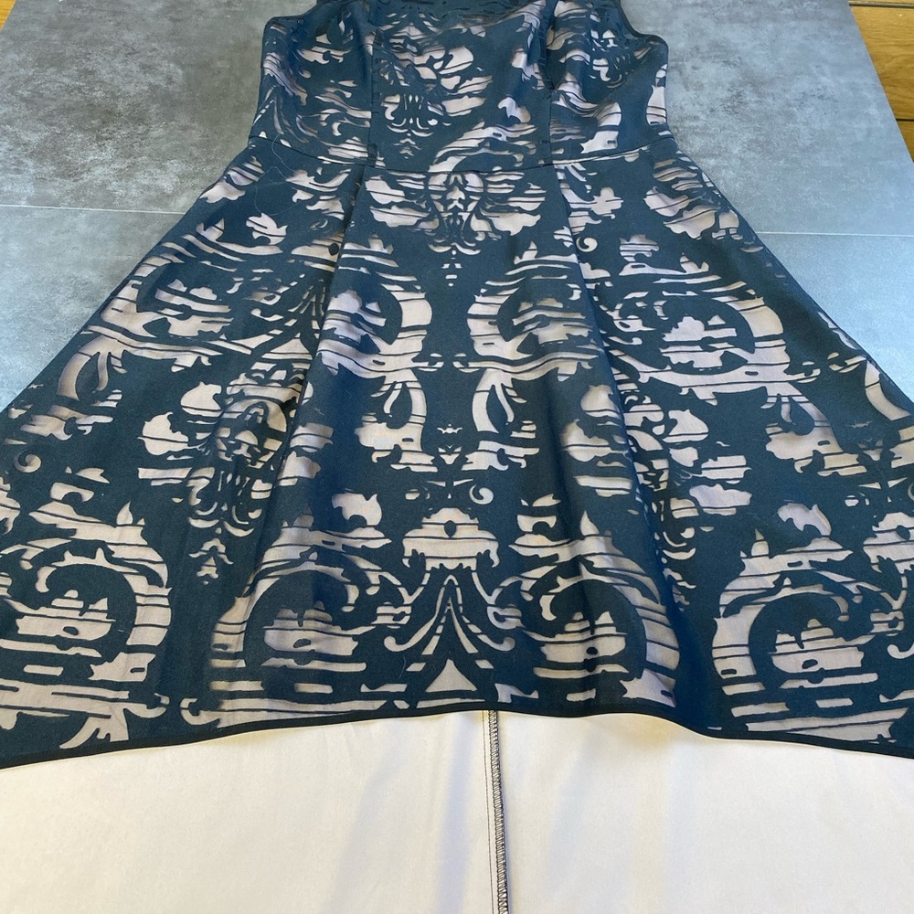 The Limited Formal Black overlay damask style on Blush Pink dress Size 6 NWOT